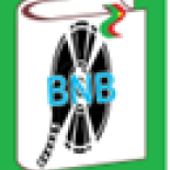 The logo of Bibliothèque nationale du Burkina The letters BNB in light blue, on a white book with a bookmark. The background is green.