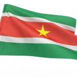 Copyright: Bigstock/maxxyustas The flag of Suriname fluttering in the wind